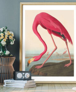 Pink Flamingo Luxury Framed Photo Print